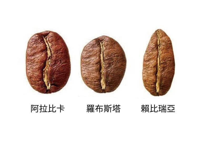 三大咖啡品種
