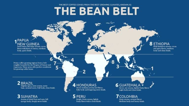 咖啡帶(Bean Belt)指的是環繞地球、位於北回歸線與南回歸線之間的區域，跨越 23.5°N 到 23.5°S。全球 90% 以上的咖啡豆，都來自這條帶狀區域。