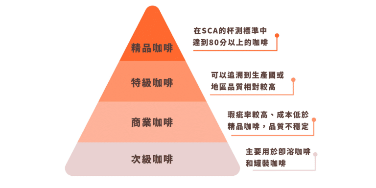 咖啡評鑑金字塔