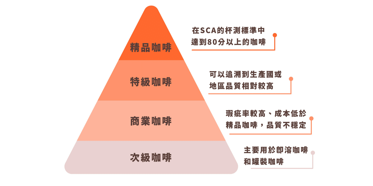 咖啡評鑑金字塔