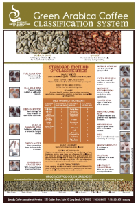 精品咖啡協會定義之咖啡瑕疵豆