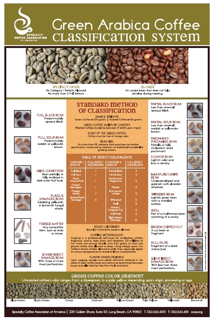 精品咖啡協會定義之咖啡瑕疵豆